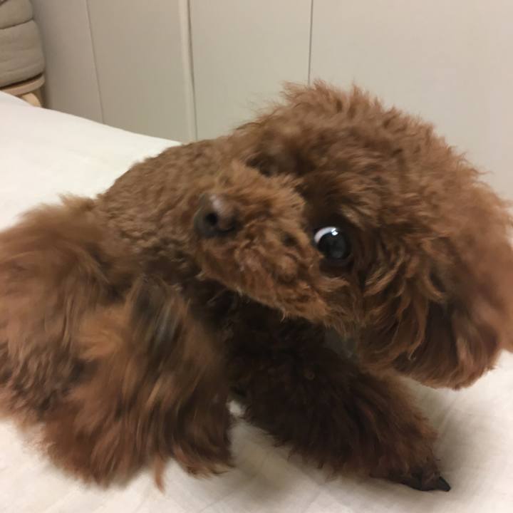 D3e5452b c4d6 4bff a355 1188812db3d0