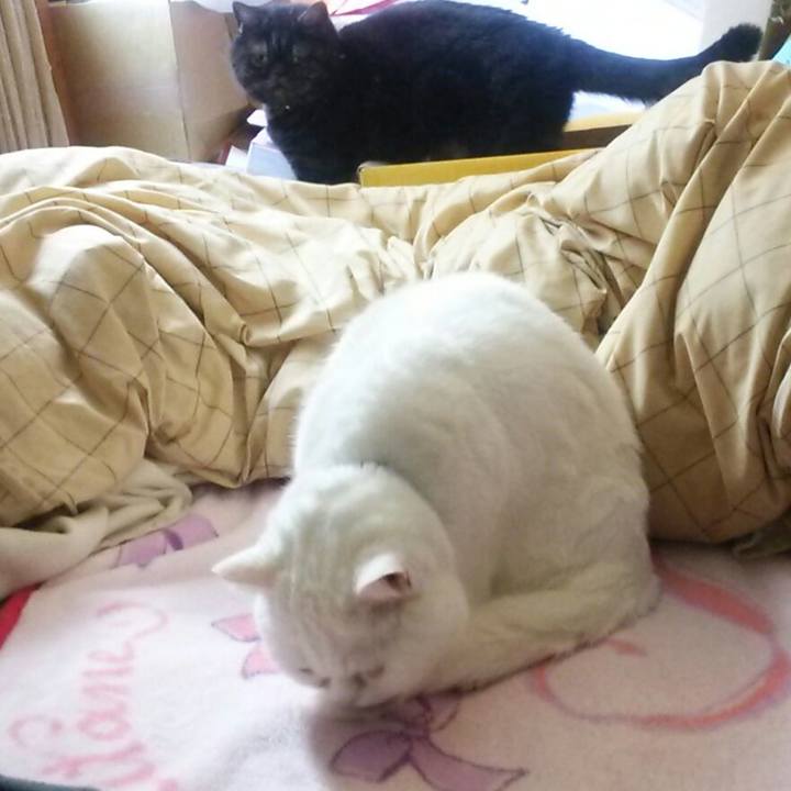 D3e57bc9 d506 4d80 a704 d6c47ffb52d0