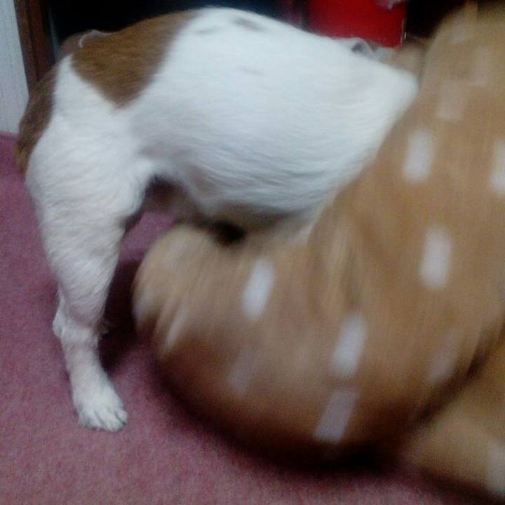 D3e5b75e 370c 4d2d 827b f06a5752614a