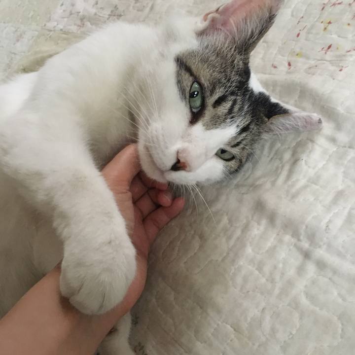 D3e5eb5a d9fd 466c a78e 5319385b7c6f