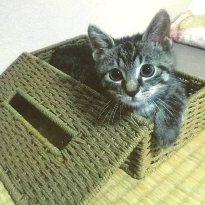 D3e6af75 d72a 40e7 99ec 8f54b25c12c1