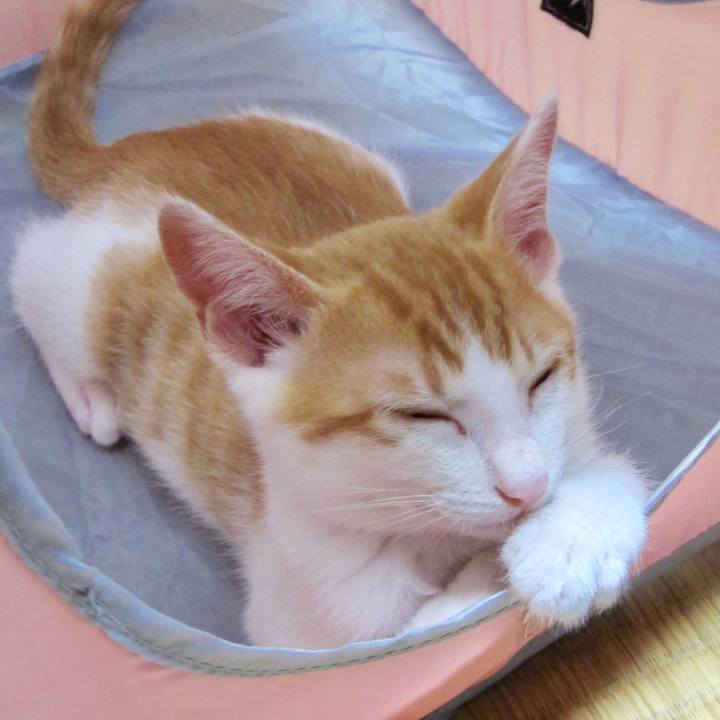 D3e6b776 00f3 4bd3 beb9 053830f771d4