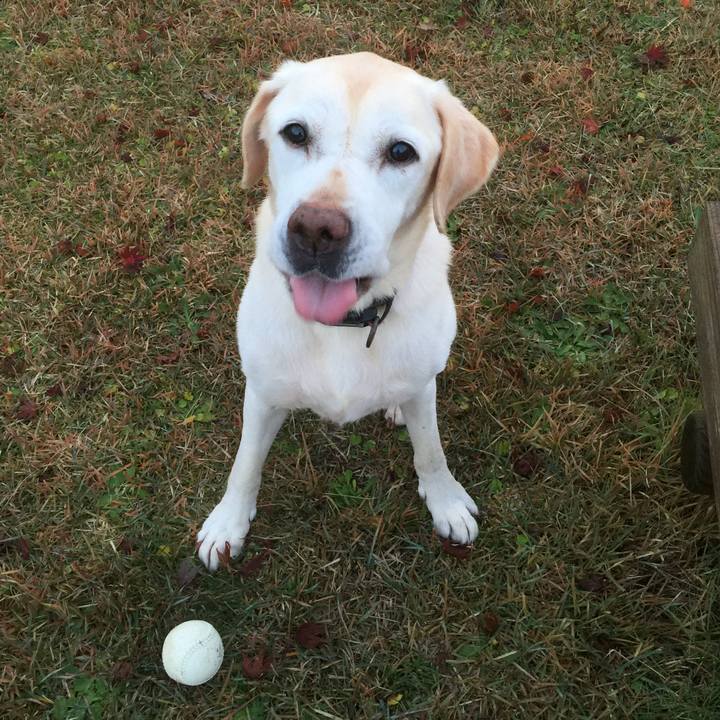 D3e6c914 b032 4963 8fed 111dae2f0c01