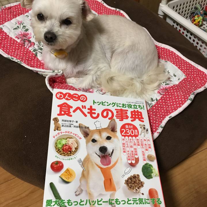 D3e6d04a 7abd 4ab0 bd38 7ff31a8472af