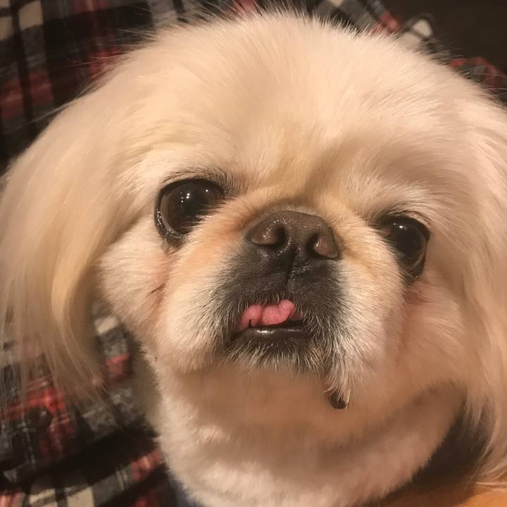 D3e6f62f 2461 482b 9650 24a513809c1d