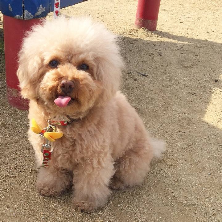 D3e6f849 1dcc 47fd a16f d2834e09bc50