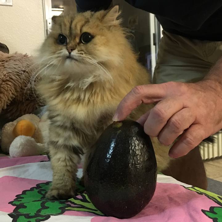 D3e768e9 2072 41a7 898a 725fb2a50113