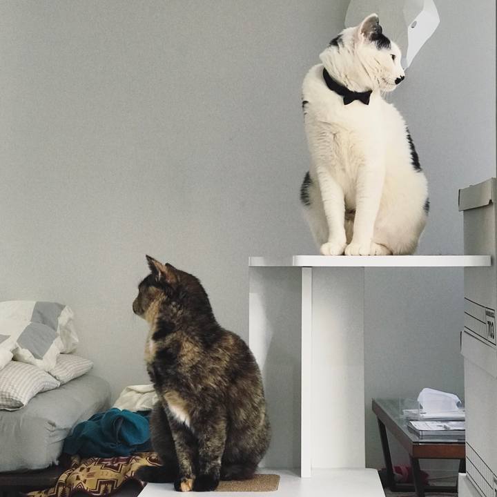 D3e774ea 4be6 4449 bdf7 f0118ec1ac1f