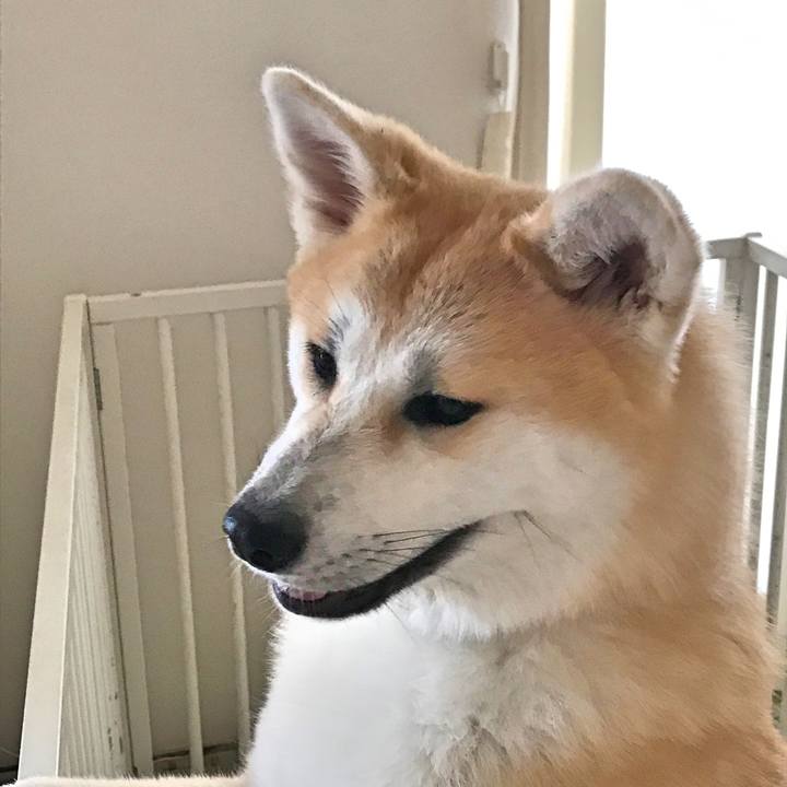 D3ea0aeb f0fb 4032 9d76 92a24a80008b