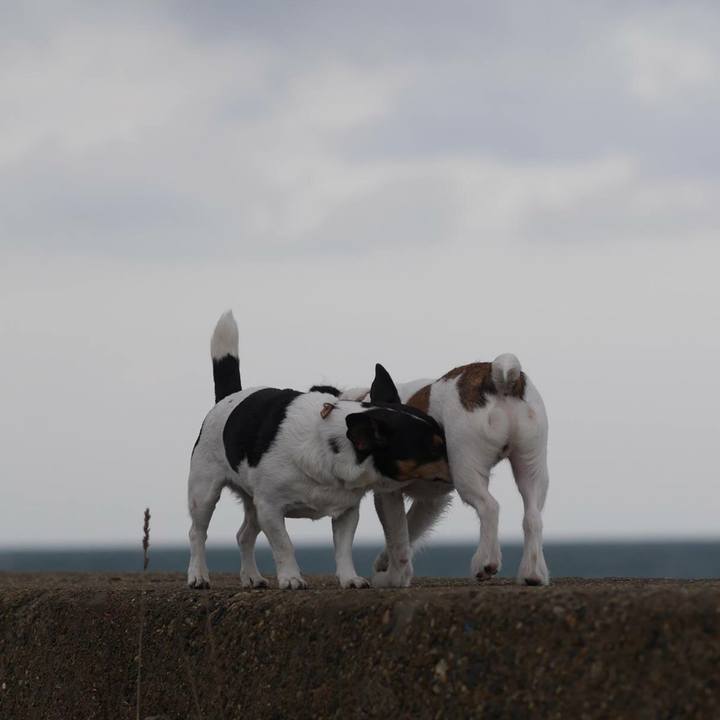 D3ea55ea 475b 459b a639 b40ec72ec07e