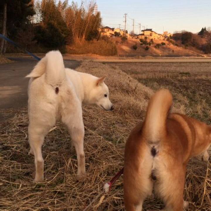 D3ea7181 3b60 4746 96dd efe6f0cd2f26