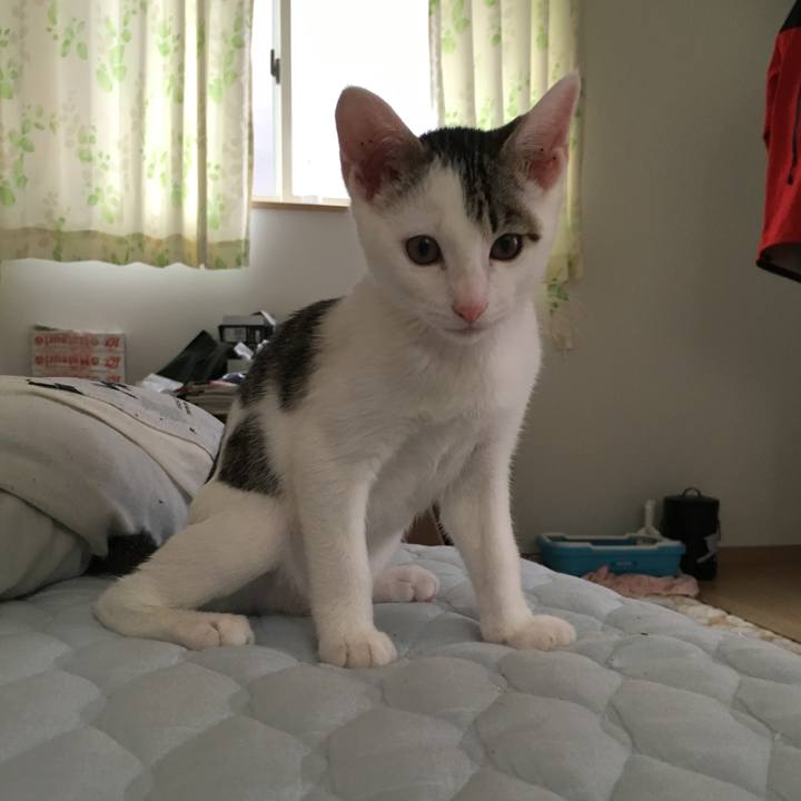 D3eaea39 42d0 4a7b 9ef7 50f208534b26