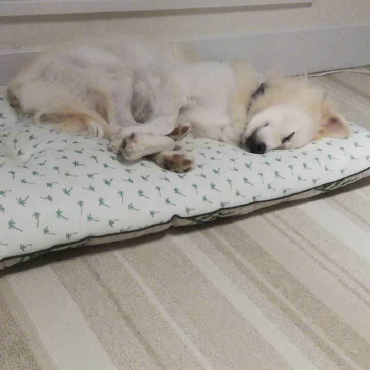 D3eb2bce 5050 4bd3 87c4 50194ea925df