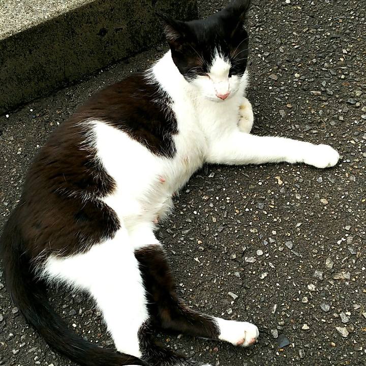 D3ec3954 d0a2 4e5d b9b6 014997dfc48f