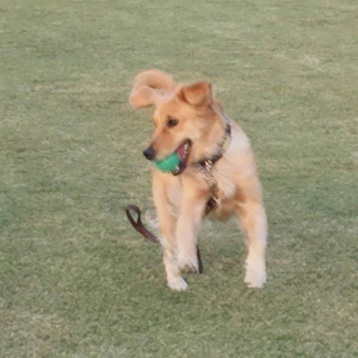 D3ec448c ce33 44c6 9f2a 44f72498c8c3