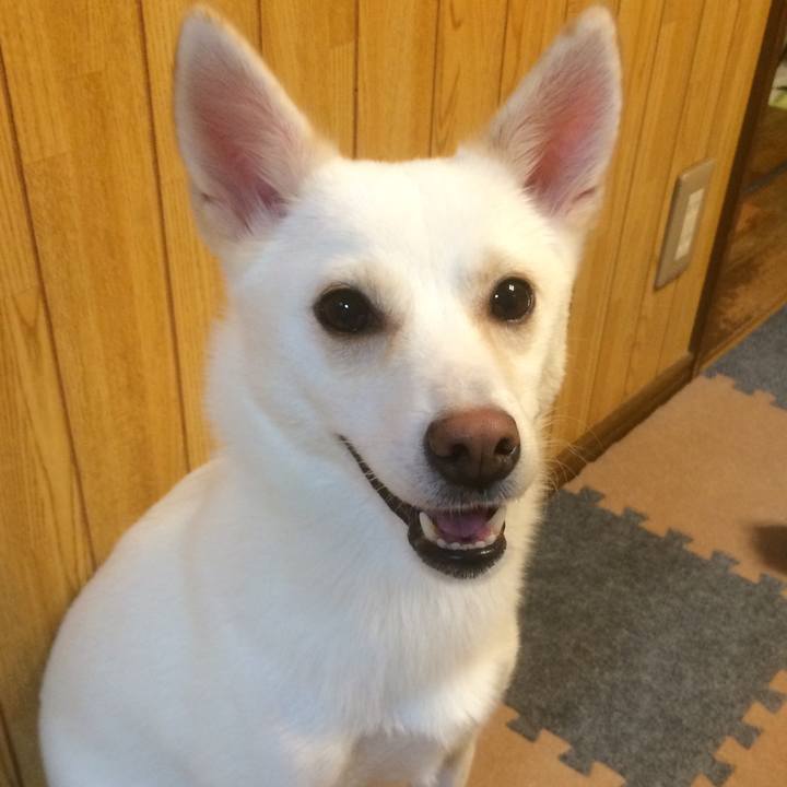 D3ed6beb 6454 4edf b778 c5d19082237f