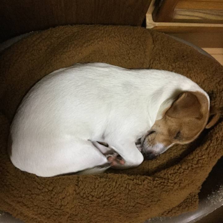 D3edca40 292b 46f8 84fc 15dbcd646173