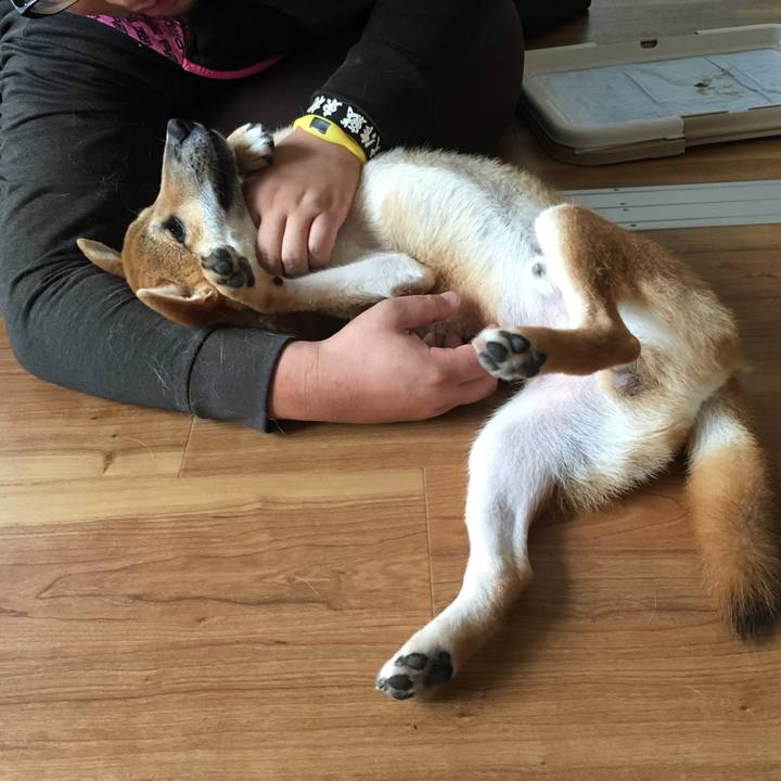 D3ede523 3040 40cb a7a8 db51fe2360ba