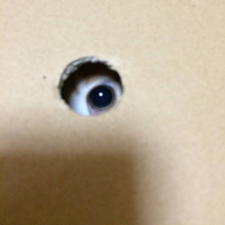 D3ee0b7e a0aa 4f5b a4bb 2cd3d8432812