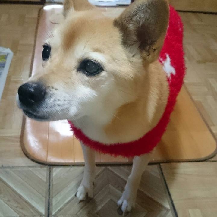 D3eea997 df8b 4065 8a3f da6b79aafbf3