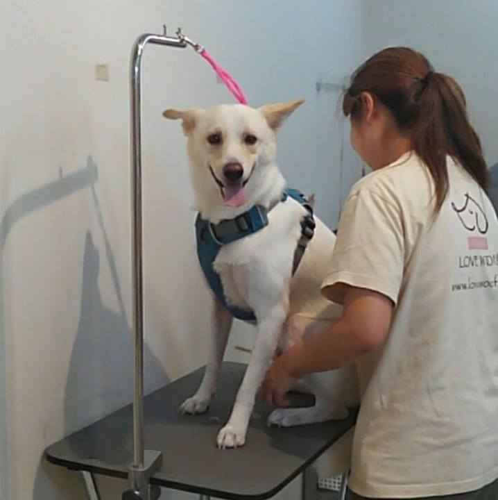 D3eef63c 5a5b 4bdf 996d 3ef624681913