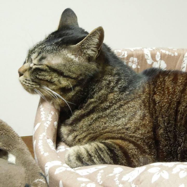 D3f02186 7614 4673 ae75 18c88fba94c1