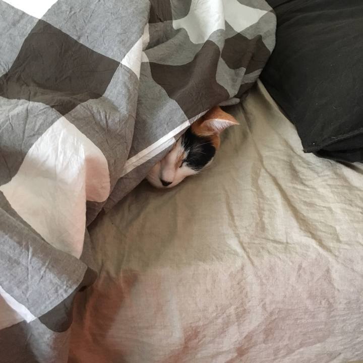 D3f06381 3186 4b70 82d5 3dea32a1ffb2