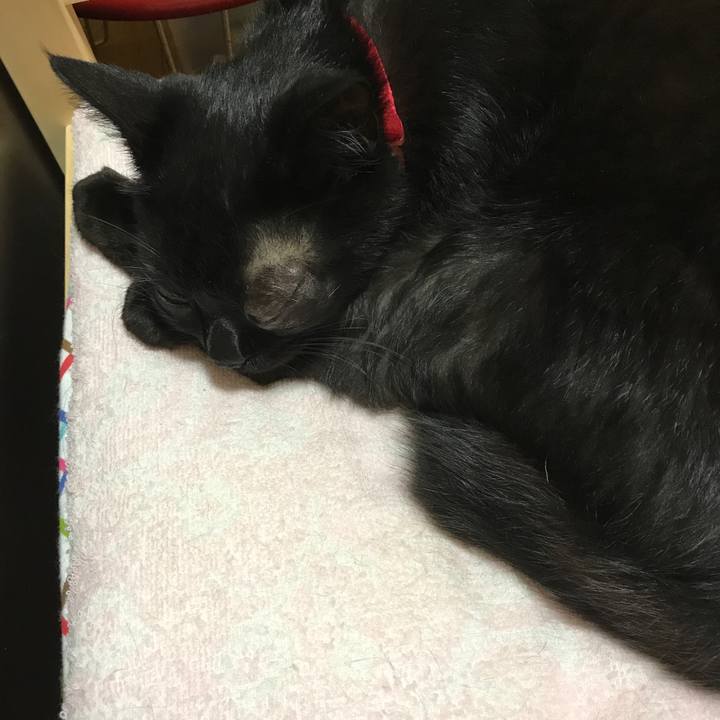 D3f0745e b35e 4367 8b1c 586f93c4fcfd