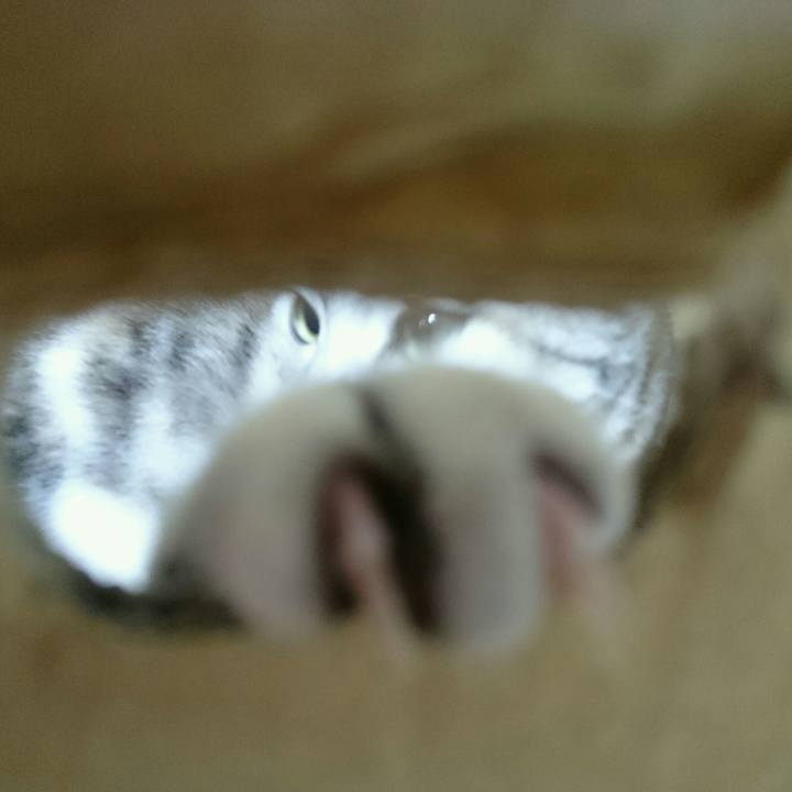 D3f09b95 4392 483a a0ae e59ddfcfd552