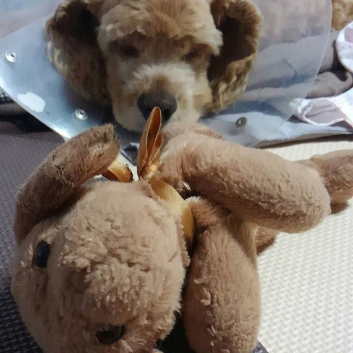 D3f0b0ff 7d64 40b7 9510 03c8fcf9820b