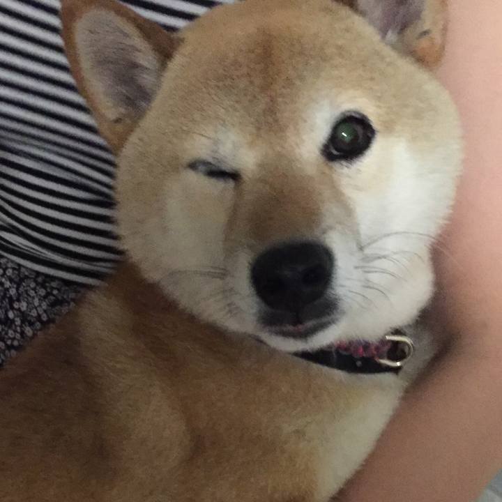 D3f14705 f3ff 4911 b582 583d4177493c