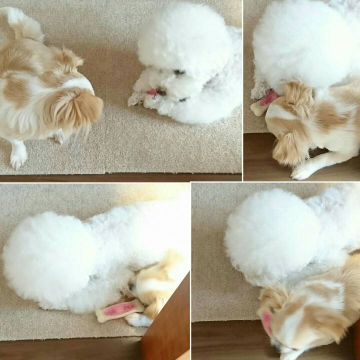 D3f15098 fd1e 49cf bff8 afd2f4cc8865