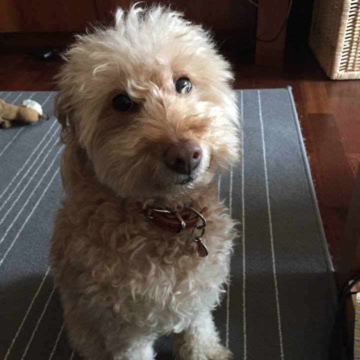 D3f20614 fbc2 4836 8816 176bdedc9229