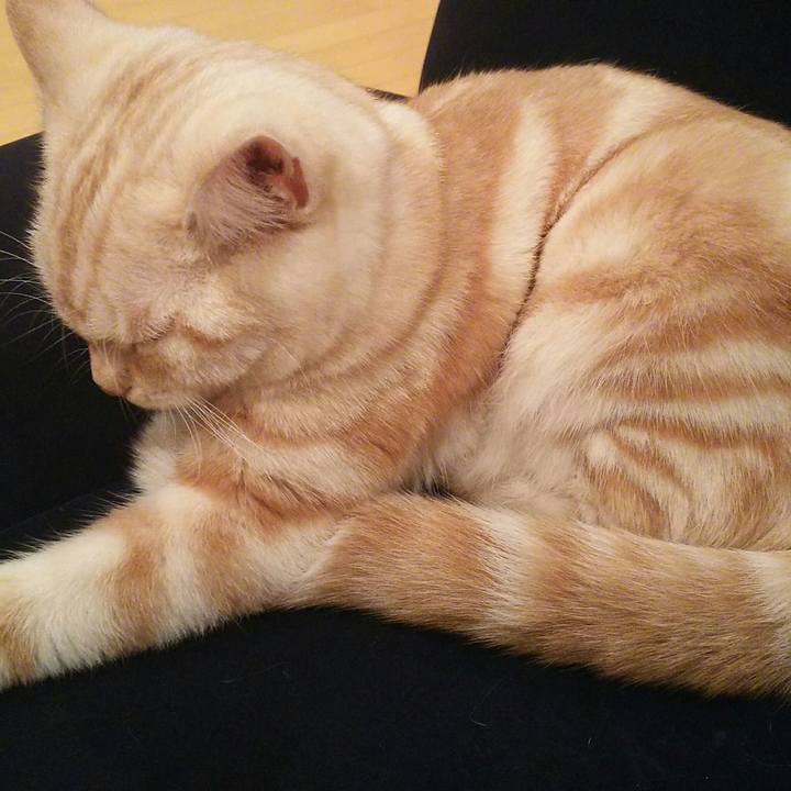 D3f29914 5ac7 4100 ab1c 00abc1f2eb3d