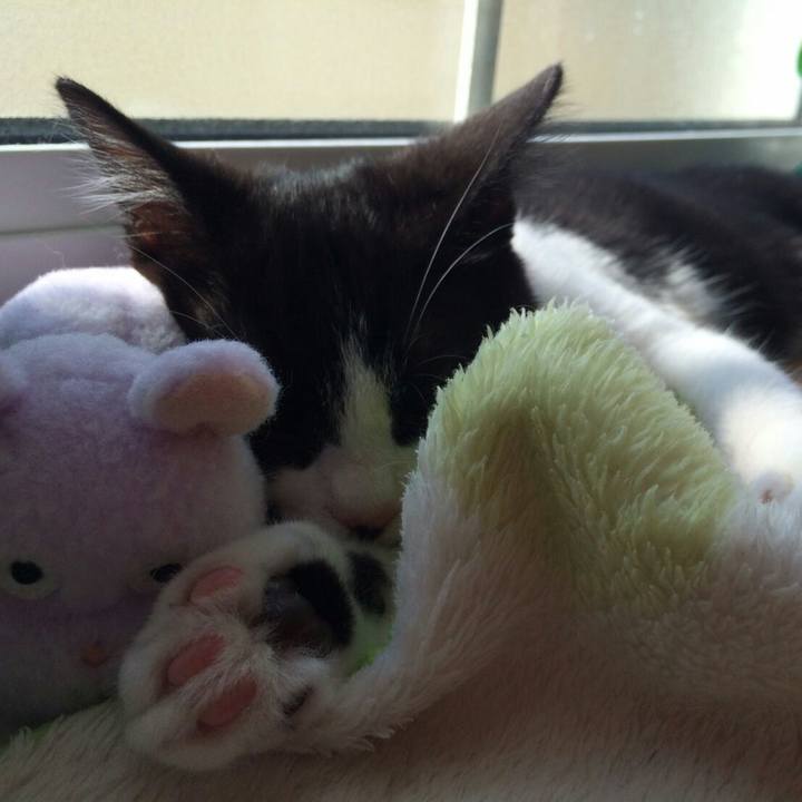 D3f2d46f 8b9c 4eef aa08 73eb4e00d5f4