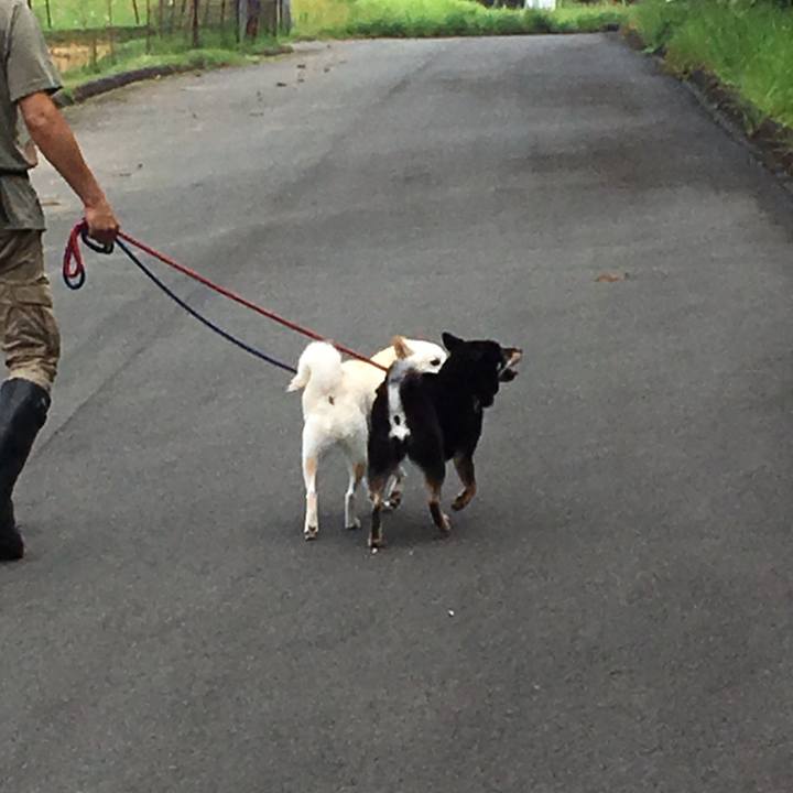 D3f2e98b 1df6 4218 ad21 d2b9fdac5724