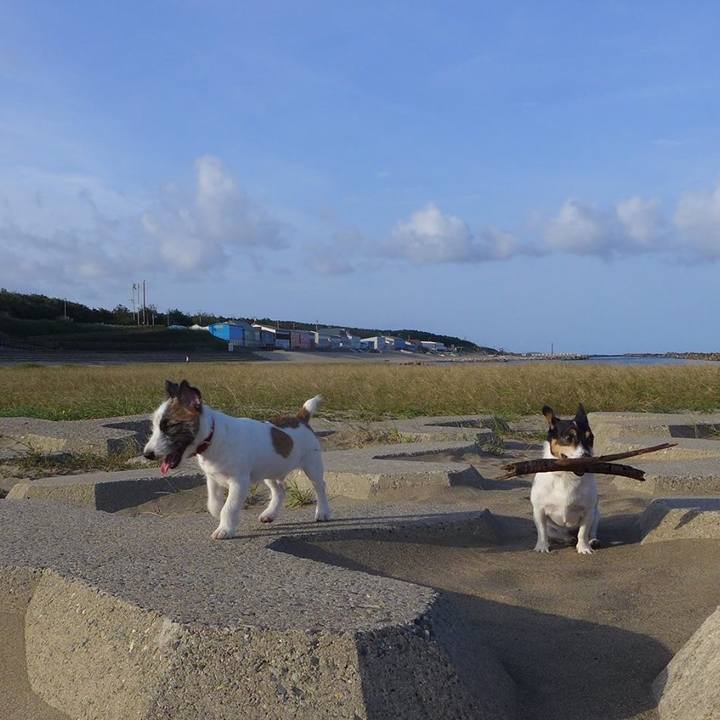 D3f3c4a9 7d8c 46da bcc0 7adc726a3531