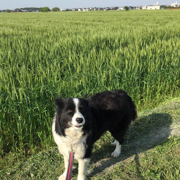 D3f4253f 0250 4a71 a900 22b7e985c7bc