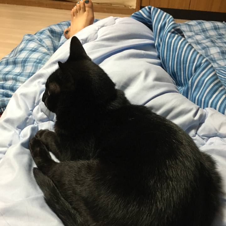 D3f4c13f 1ccb 4d44 8ecc 470a2f7c973d