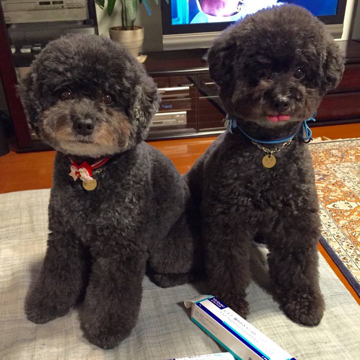 D3f52a75 ee6f 4129 9db9 b396acac2ced