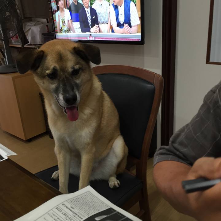 D3f52c62 b9d0 46e4 8d66 3a334d13a6fb