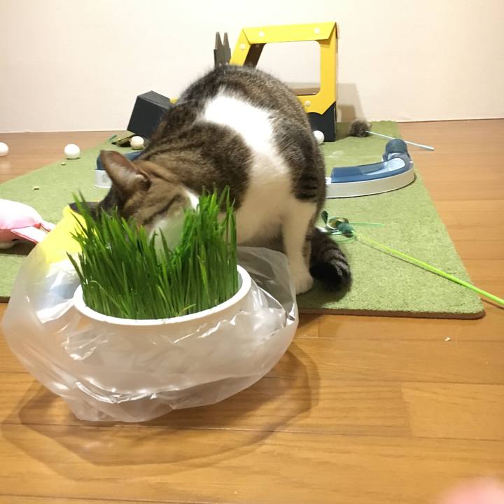 D3f5a243 e139 4a84 bb20 0fa1125c00be