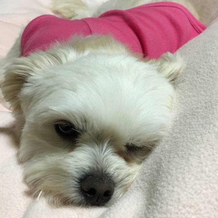 D3f5e016 66cd 4433 be34 ab70ea053042