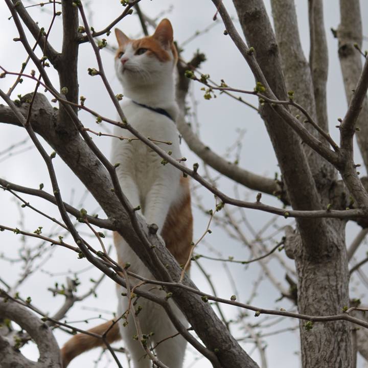 D3f6c86f c213 4bf4 ad14 7571c9576b35