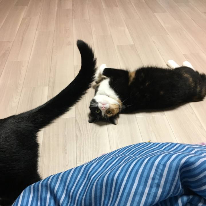 D3f7759b 77e7 48b5 9d7e 8d16f10a3ca0