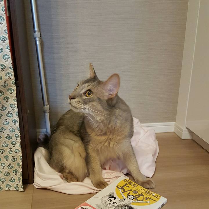 D3f810f9 3857 49cd a27e c2d10b2f1d00