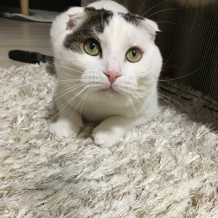 D3f87d14 c8b7 4079 960c 66a8424d0fba