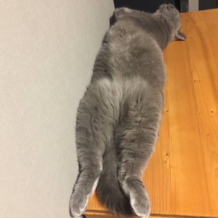 D3f8be95 5a86 4223 8dcf c231f11ae64f