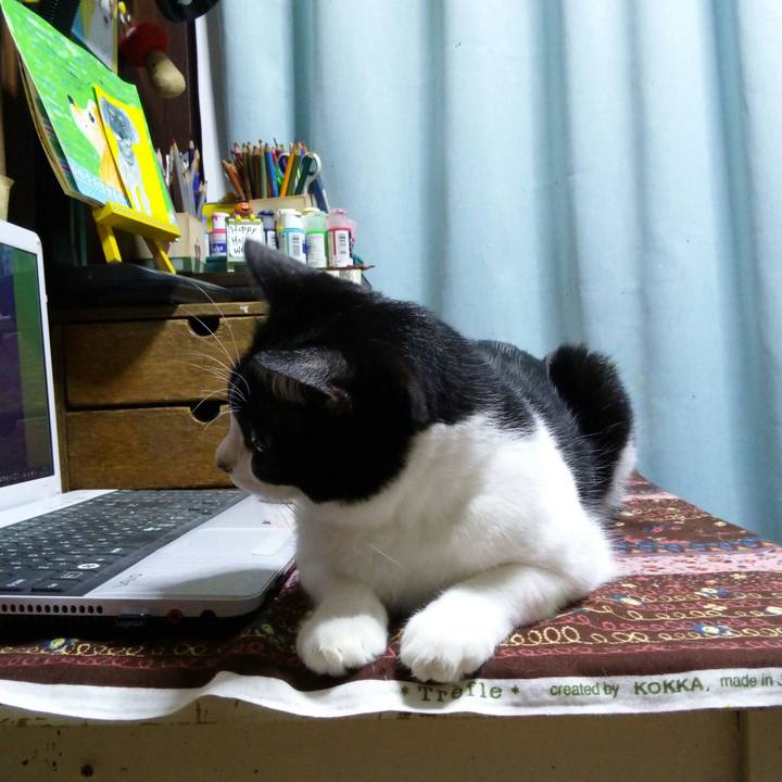 D3f99dd6 3e2d 4d50 a069 96801ca95700