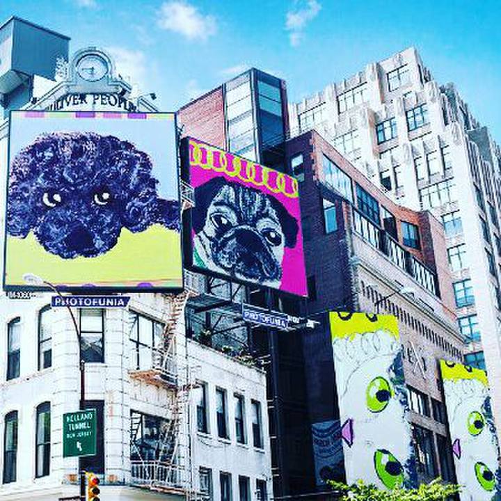 D3fa0e6c f4eb 4fa2 bc1b f9e197737c89